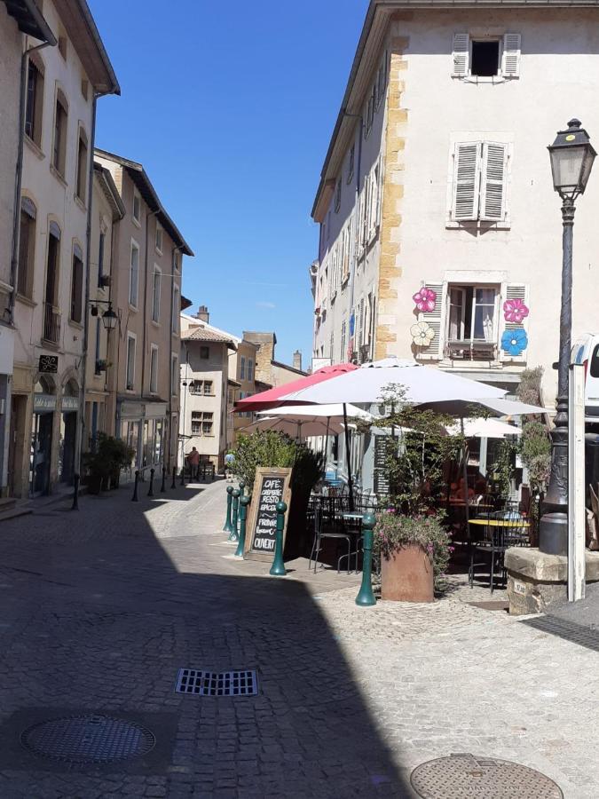 Trevoux: Loft Ravissant Avec Terrasse Leilighet Eksteriør bilde