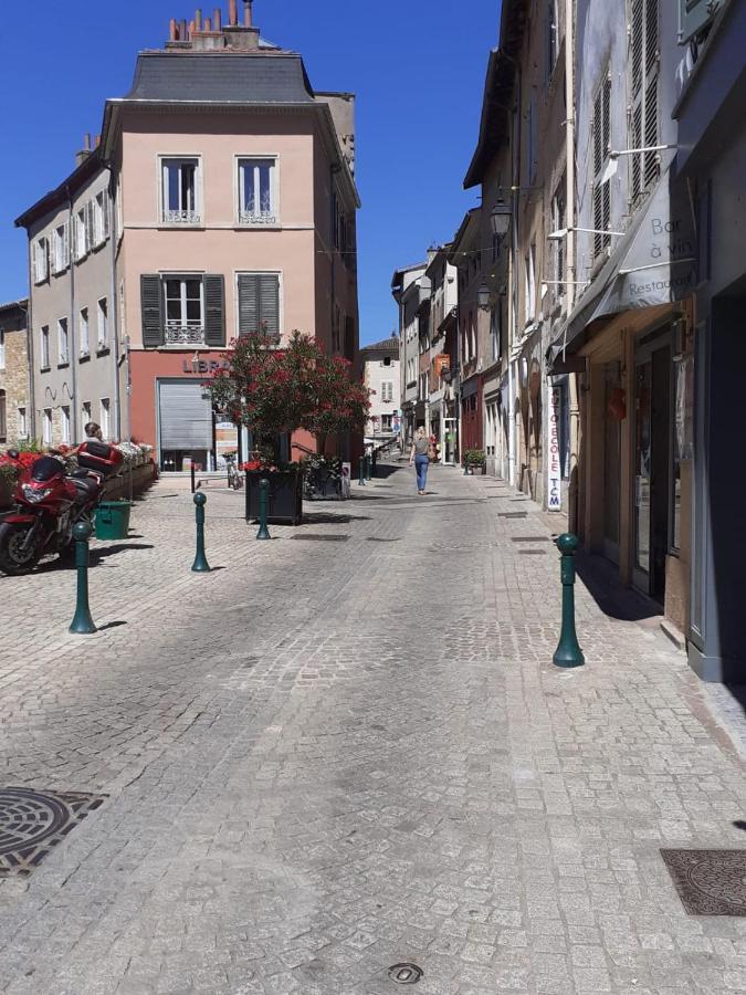 Trevoux: Loft Ravissant Avec Terrasse Leilighet Eksteriør bilde